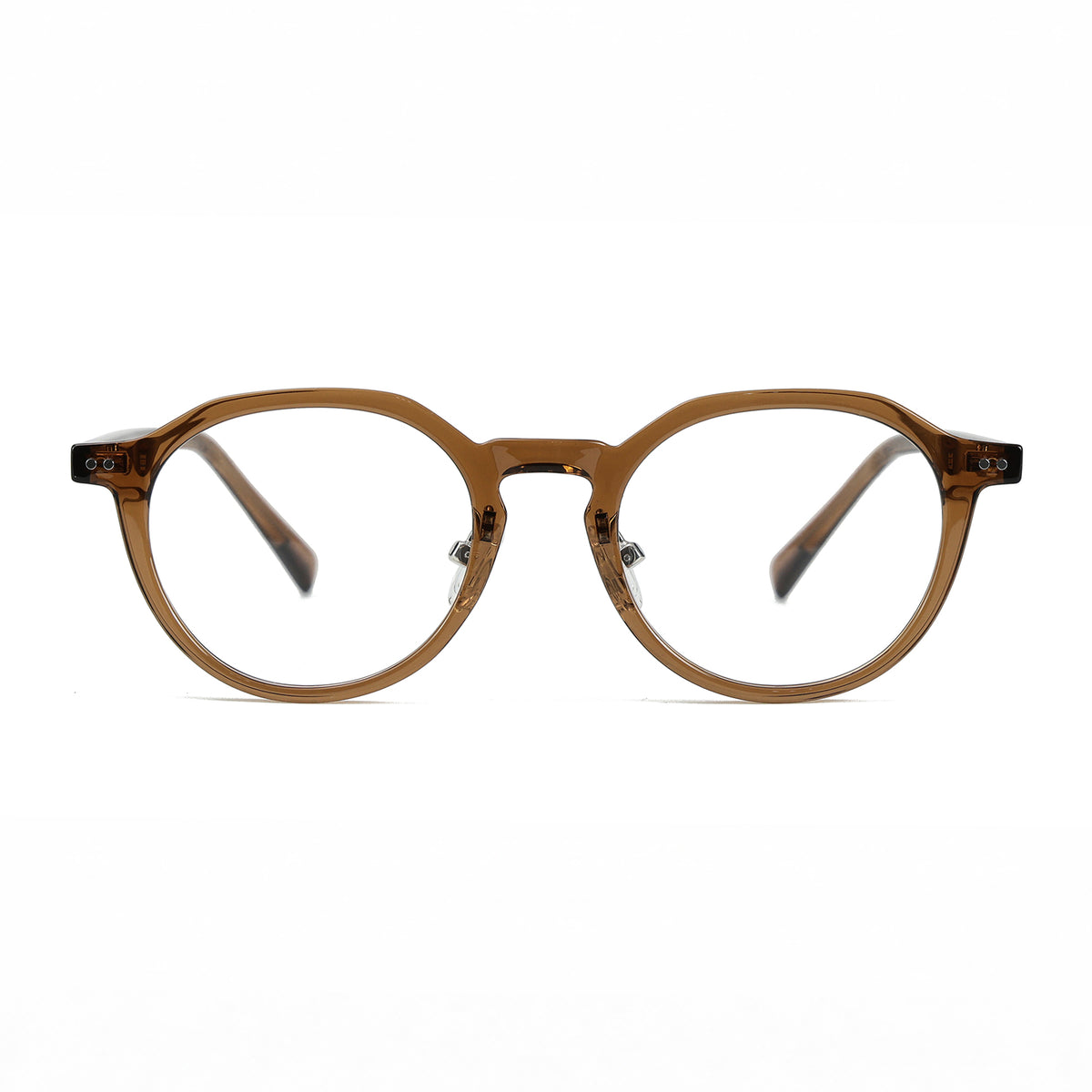 Pandia Brownish
